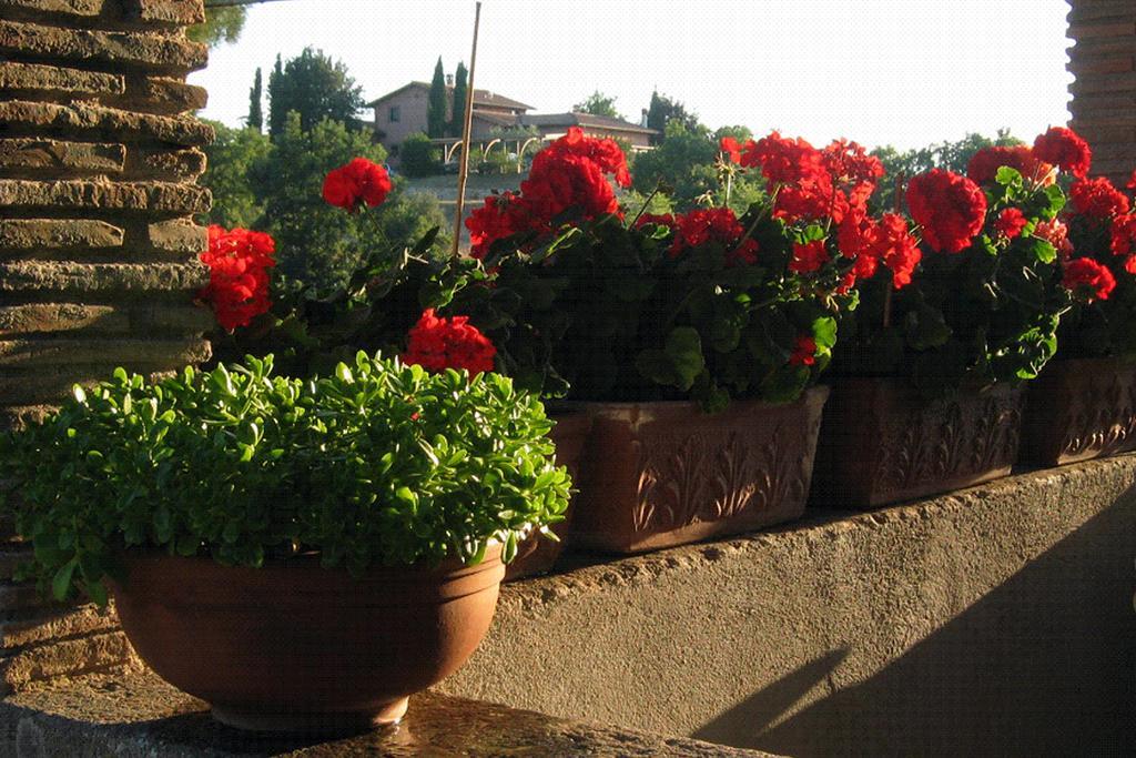 Villa Casale Aurora Viterbo Zimmer foto